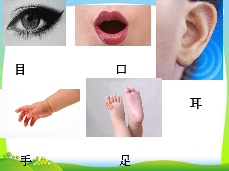 《口耳目》公开课课件部编版1.ppt_第3页