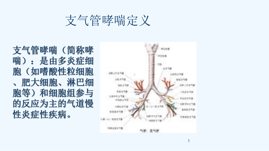 业务讲座支气管哮喘护理课件.ppt_第3页