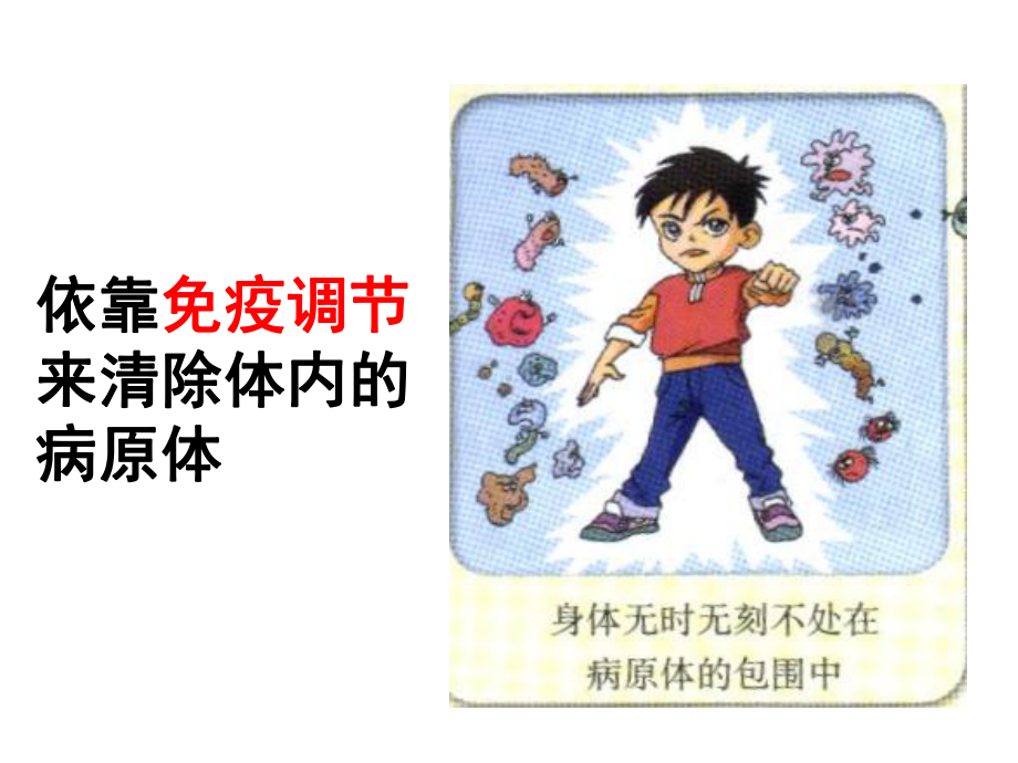 免疫教学课件10(公开课)-(人教课标版).ppt_第2页