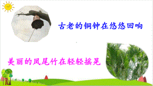 《大青树下的小学》1课件.ppt