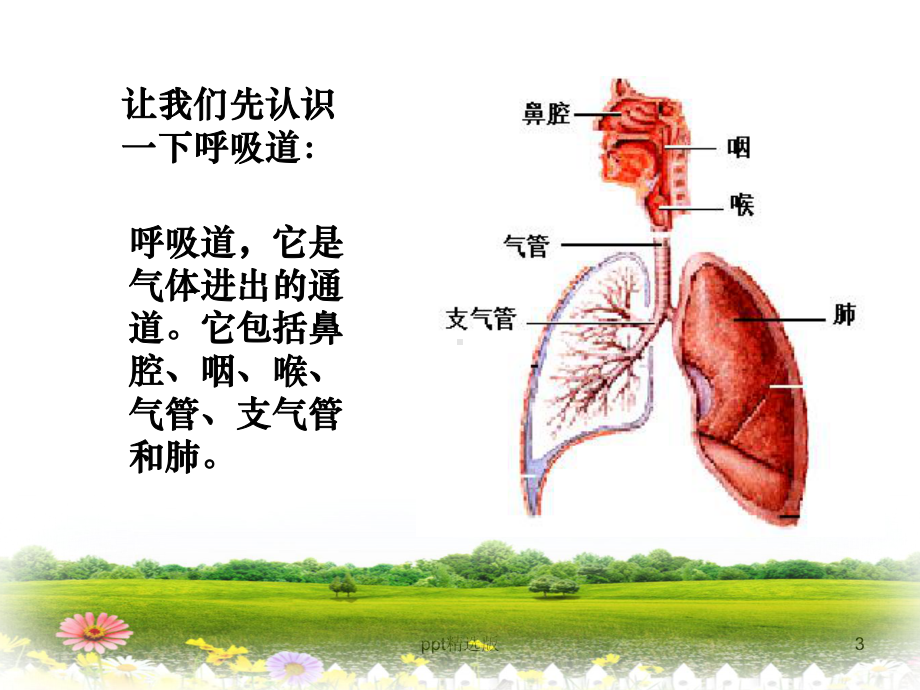 呼吸道传染病预防知识1课件.ppt_第3页