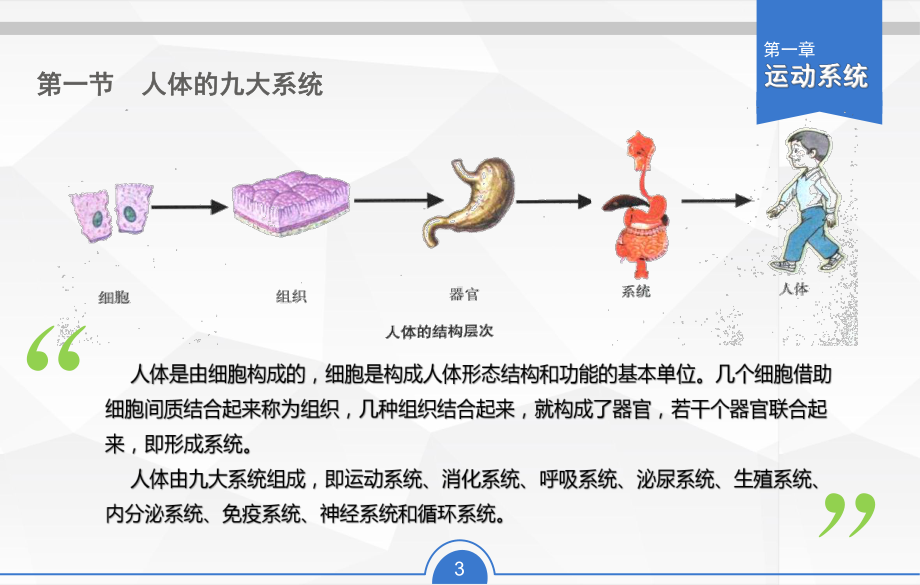 亿骨关节疾病患者课件.ppt_第3页