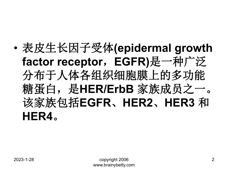 以egfr为靶点的抗肿瘤药物课件(同名218).ppt_第2页