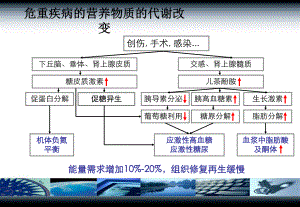 危重症患者的肠内营养支持课件.pptx