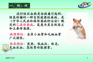 头痛腰痛和眼眶痛课件.ppt