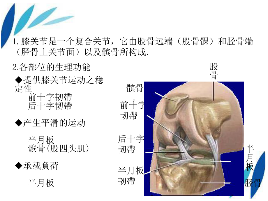 全膝关节置换术课件.ppt_第3页