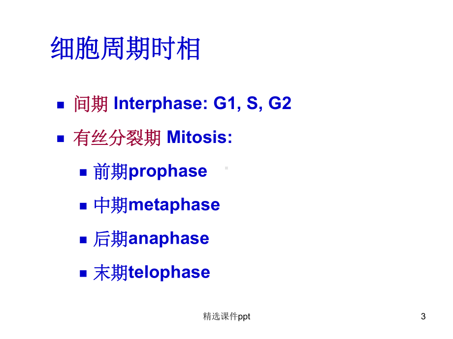 《细胞周期与肿瘤》课件.ppt_第3页