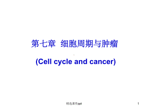 《细胞周期与肿瘤》课件.ppt