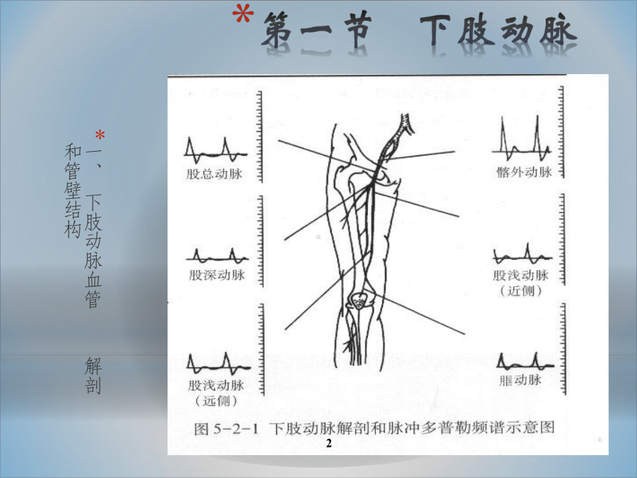 下肢动脉讲课稿课件.ppt_第2页