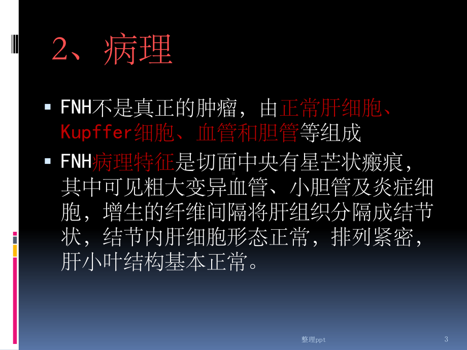 《fnh影像诊断》课件.ppt_第3页