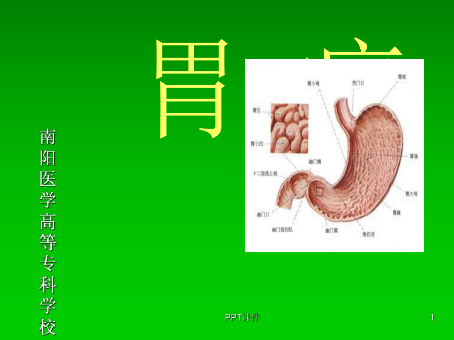 中医内科学课件第三章6胃痛.ppt_第1页