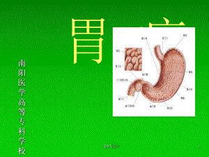 中医内科学课件第三章6胃痛.ppt