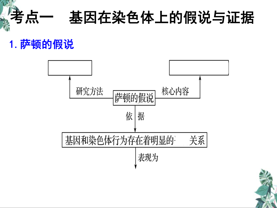 人教版高中生物教材《基因在染色体上》优质课件.ppt_第3页