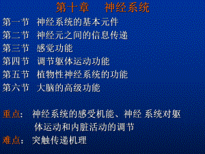 （畜牧课件）第十章-神经系统.ppt