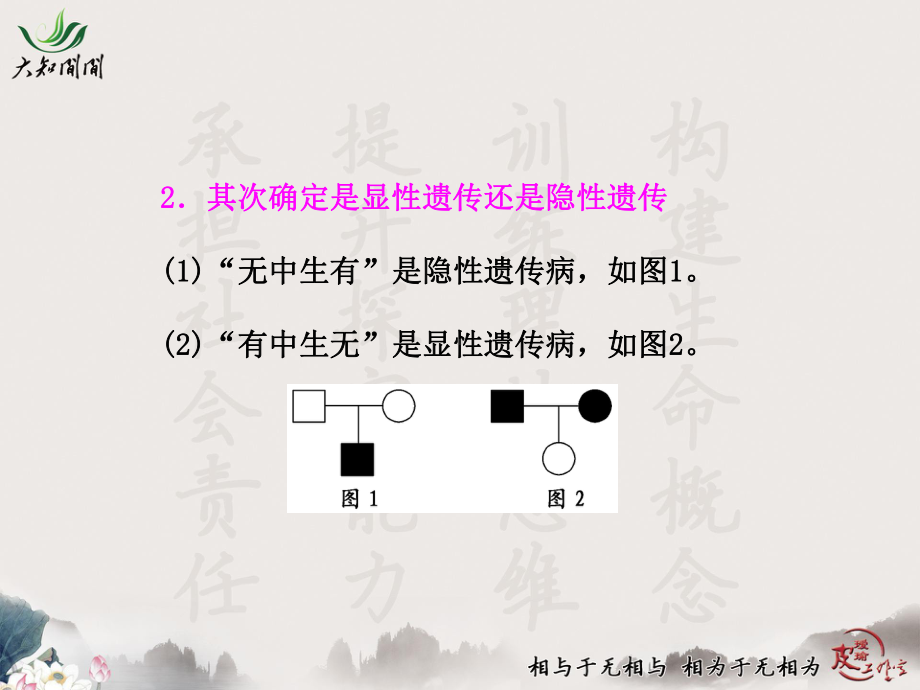 基因在染色体上和伴性遗传(第二讲)课件.ppt_第3页