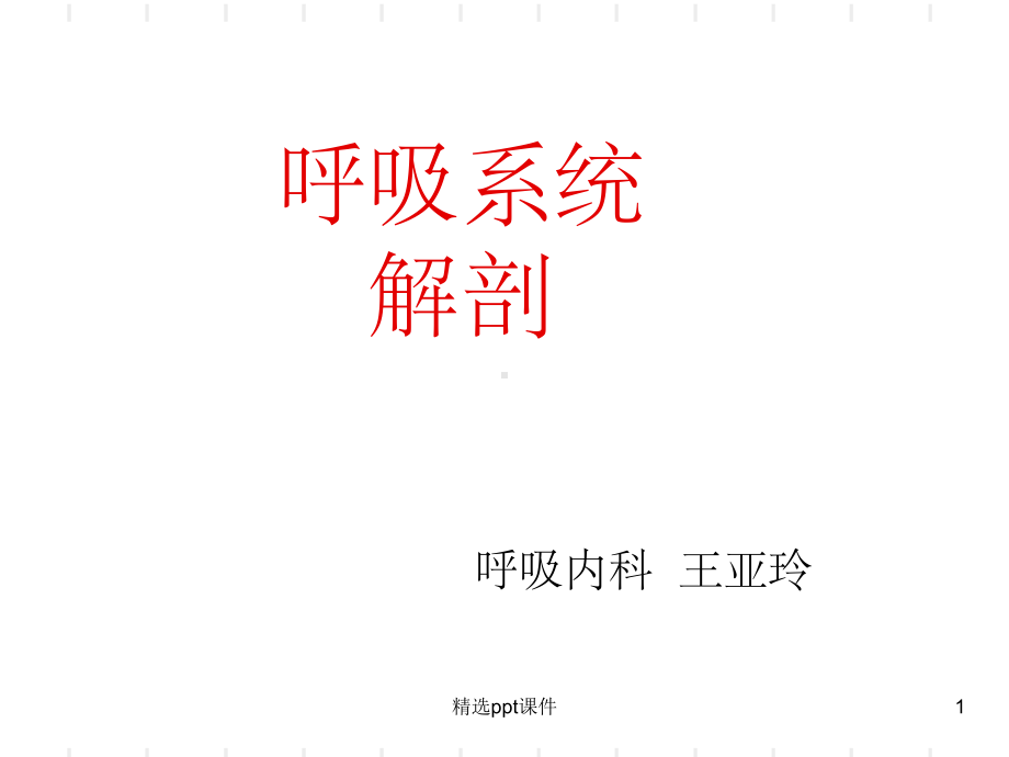 《呼吸系统解剖》课件.ppt_第1页