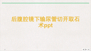 后腹腔镜下输尿管切开取石术课件.pptx