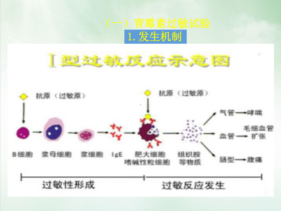 五药物过敏试验课件.pptx_第2页