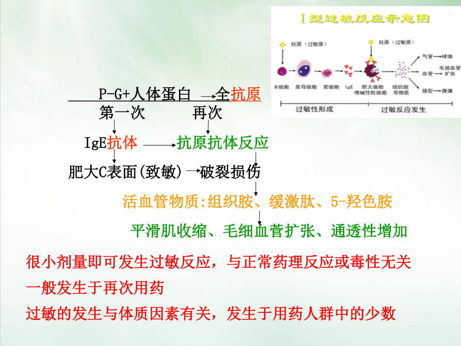 五药物过敏试验课件.pptx_第3页