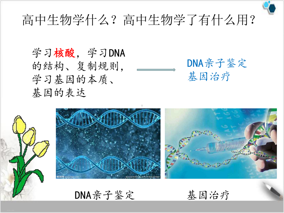 人教版高中生物必修一第一章走进细胞课件.ppt_第3页