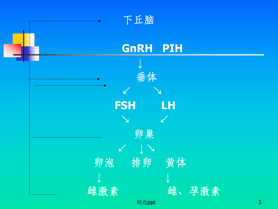 《妇产科护理学》课件.ppt_第3页