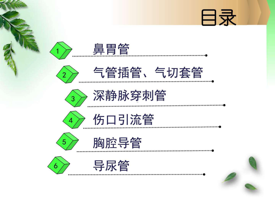 各类导管的护理PPT课件.ppt_第2页