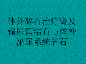 体外碎石治疗肾及输尿管结石与体外泌尿系统碎石课件.ppt