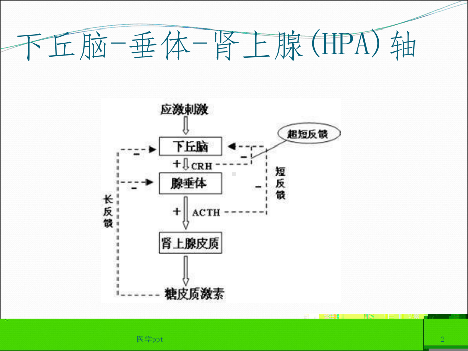 icu常见内分泌系统疾病课件.ppt_第2页