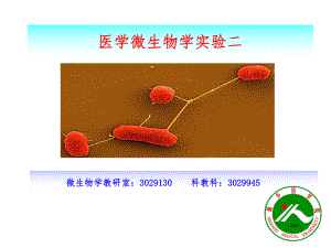 医学微生物学实验二抗酸染色课件.ppt