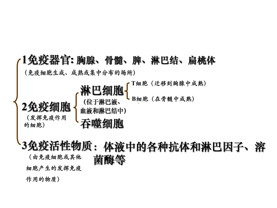 〔人教课标版〕免疫系统的组成教学课件.ppt_第1页