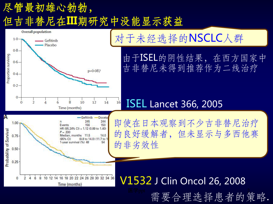 EGFR基因突变状态指导下的NSCLC治疗课件.ppt_第2页