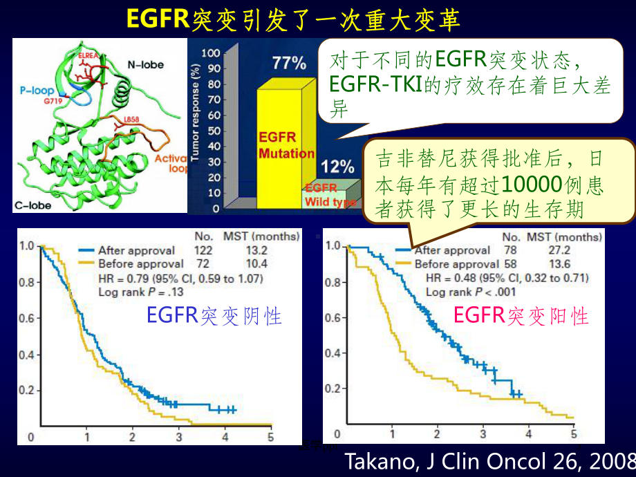 EGFR基因突变状态指导下的NSCLC治疗课件.ppt_第3页