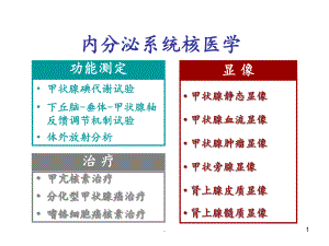 《核医学上岗证》第十二章内分泌课件.ppt