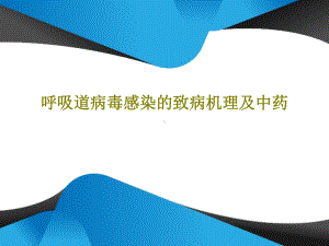 呼吸道病毒感染的致病机理及中药课件整理.ppt