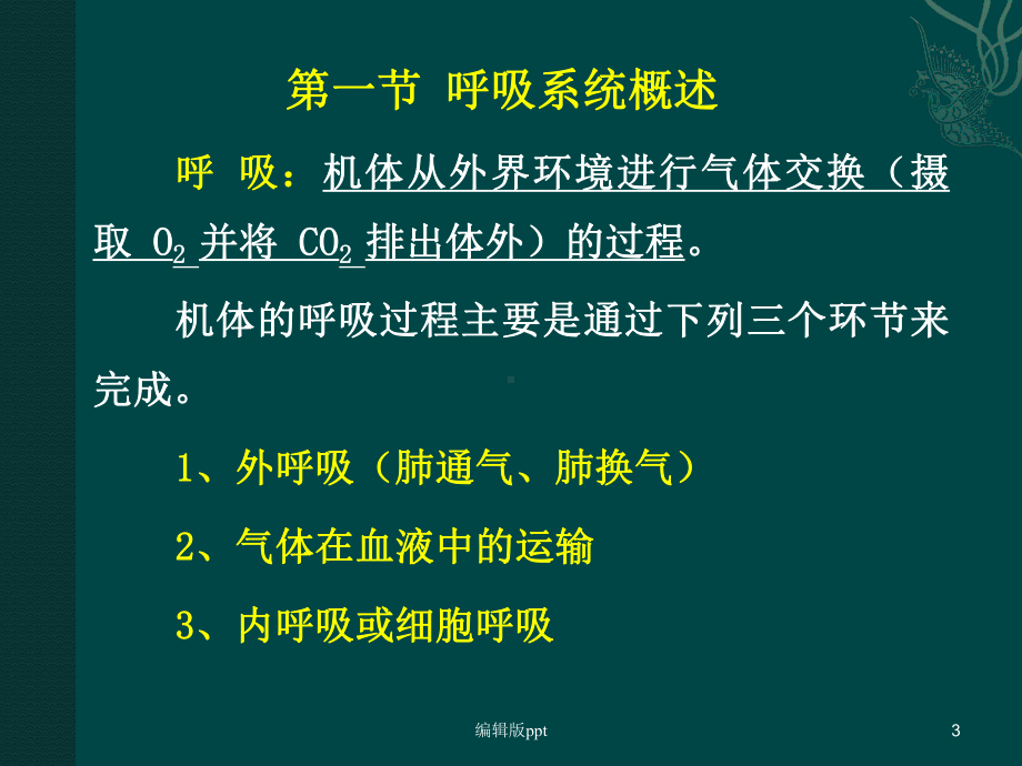 呼吸系统医学课件.pptx_第3页