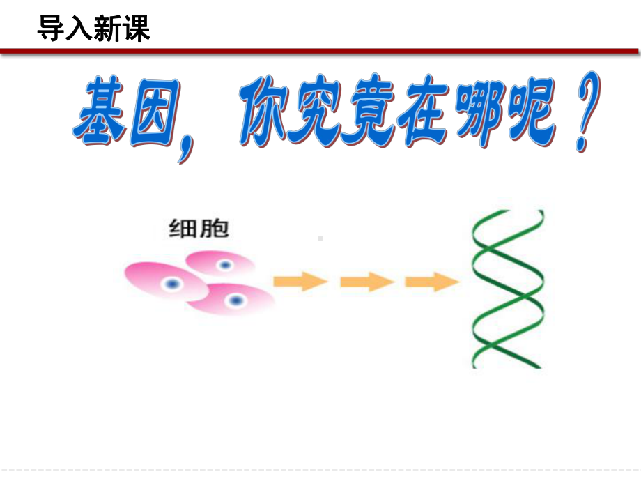 基因在染色体上(合作探究类)讲解课件.ppt_第2页