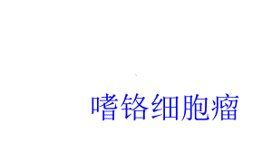 嗜铬细胞瘤(课件).ppt