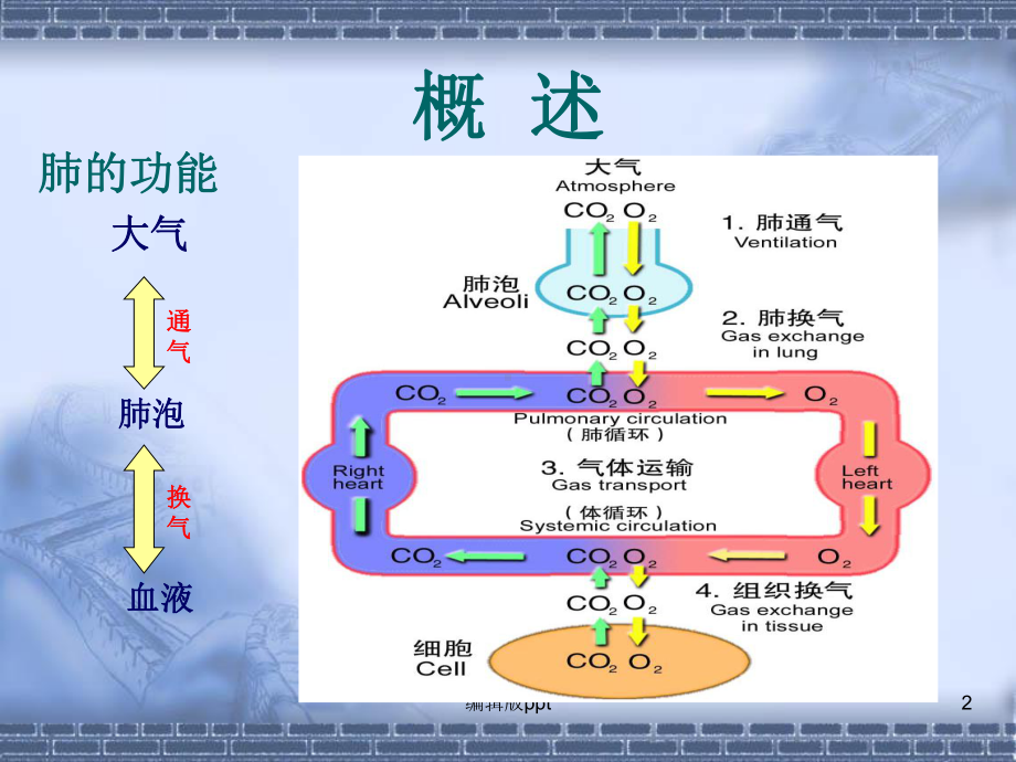 呼吸衰竭护理课件整理.ppt_第2页