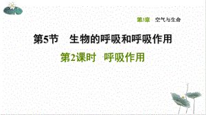 呼吸作用浙教版八级科学下册习题课件整理.ppt