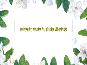 创伤的急救与自救课件级.ppt