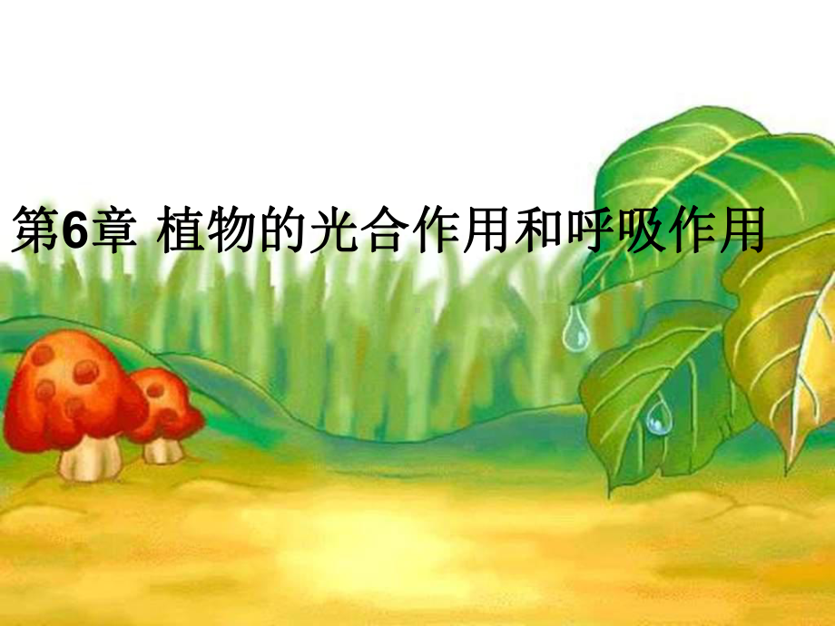 《植物的光合作用和呼吸作用》实用课件.ppt_第1页