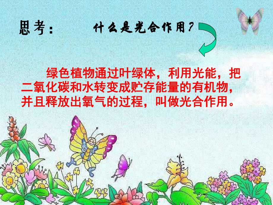 《植物的光合作用和呼吸作用》实用课件.ppt_第2页