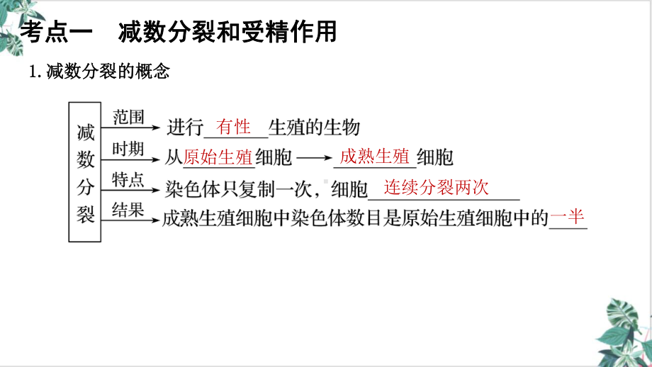 减数分裂2021年高考一轮复习生物课件.ppt_第3页