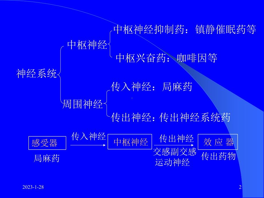 传出神经系统药理概论概述资料47p课件.pptx_第2页