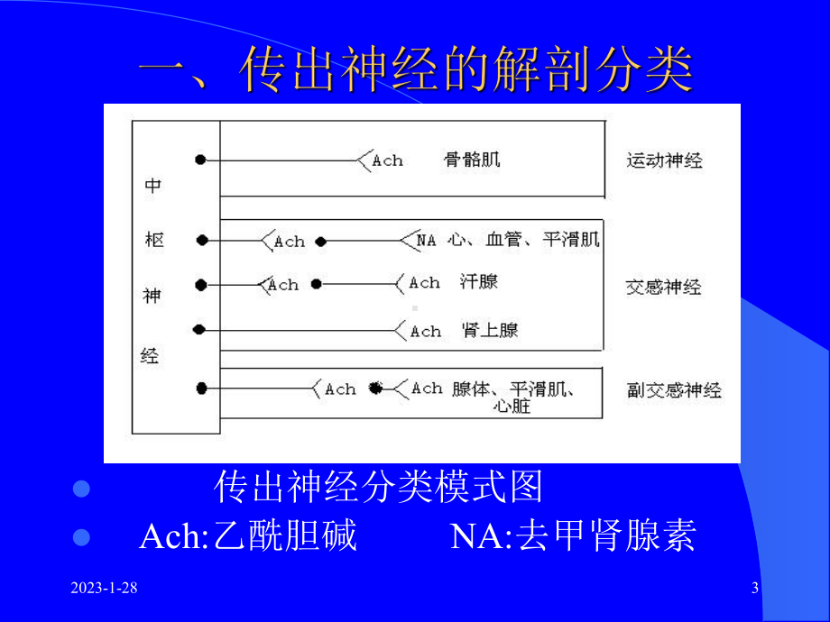 传出神经系统药理概论概述资料47p课件.pptx_第3页