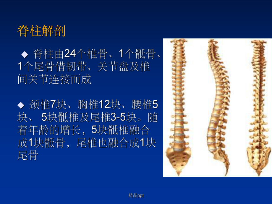 《截瘫及四肢瘫评定》课件.ppt_第3页