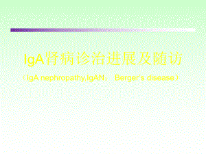 IgA肾病的诊诒进展及随访课件整理.ppt