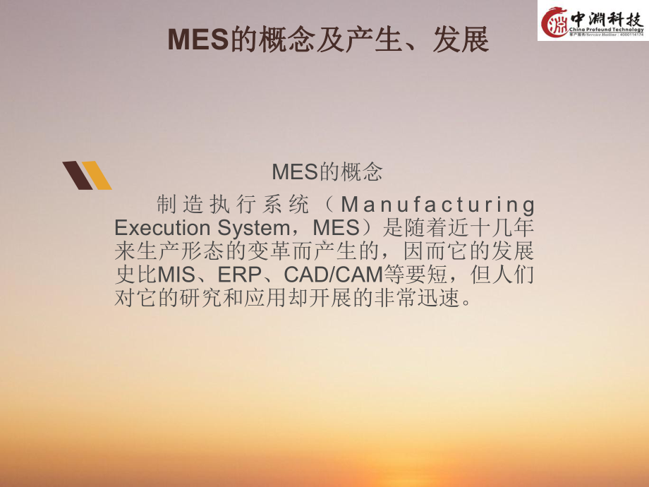 制造执行系统(MES)分析课件.ppt_第2页