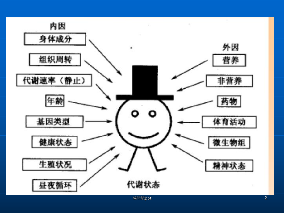 代谢组学的研究方法和研究流程-医学课件.ppt_第2页