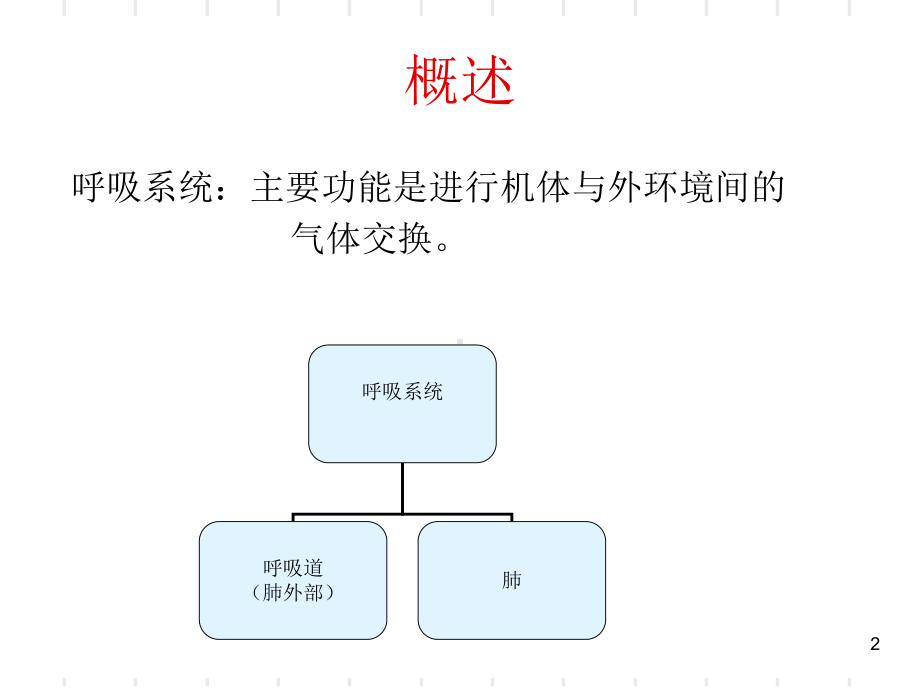 呼吸系统解剖课件(同名1140).ppt_第2页